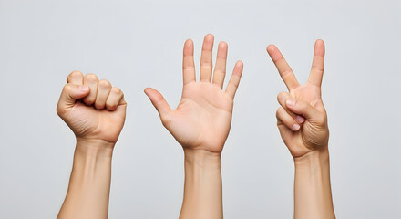 Human Hand Gesture Collection