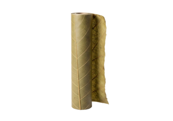 Rolled up green leaf patterned fabric isolated on transparent background