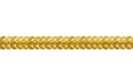 A decorative golden laurel leaf border on a transparent background. The design features a continuous pattern of stylized leaves, ideal for framing or embellishing designs.