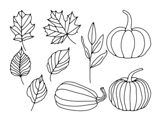 Autumn Leaves and Pumpkins Line Art Vector Illustration