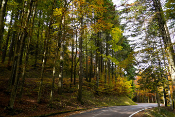 Autunno sull'Appennino emiliano. Panorami autunnali delle montagne bolognesi. Corno alle Sc ale. Bologna, Emilia-Romagna, Italia.