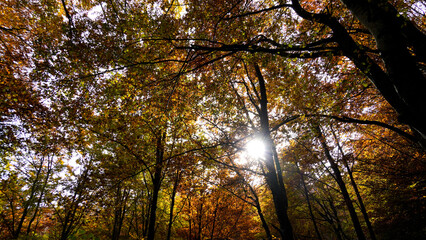 Autunno sull'Appennino emiliano. Panorami autunnali delle montagne bolognesi. Bologna, Emilia Romagna. Italia