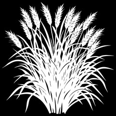 A realistic clump of ornamental fountain grass (Pennisetum), with long, narrow green leaves and soft, feathery white to pale purple flower spikes. The plant is isolated on a white or transparent backg