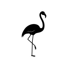 Silhouette flamingo pose on transparent background