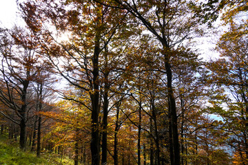 Autunno sull'Appennino emiliano. Panorami autunnali delle montagne bolognesi. Corno alle Sc ale....