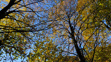 Autunno sull'Appennino emiliano. Panorami autunnali delle montagne bolognesi. Corno alle Sc ale. Bologna, Emilia-Romagna, Italia.
