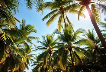 Fototapeta premium Majestic royal palm trees, sunlight dappled leaves, tropical setting, sunlight, tropical