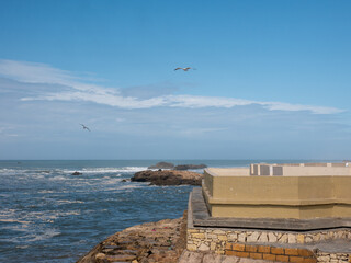 A panoramic view of the Essaouira coastline in Morocco, featuring blue ocean waves crashing on rocky outcrops under a clear sky with flying seagulls.