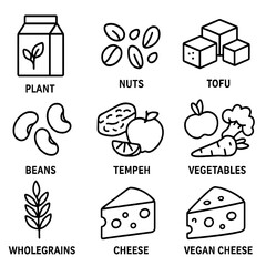 Vegan food linear icon set. featuring plant, nuts, tofu, beans, tempeh, vegetables, wholegrains, cheese, vegan cheese