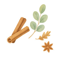 cinnamon sticks and mint