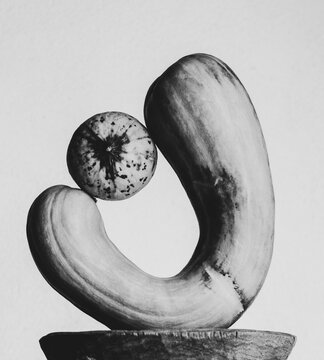   sculpture r&eacute;alis&eacute;e avec des courges  , l&eacute;gumes ,nourriture , sain  , visuel , cr&eacute;ation , 