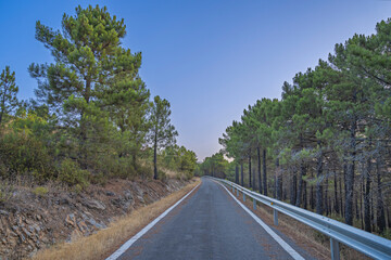 A main mountain road with visible drainage systems, bordered by gabion-reinforced embankments and native high-altitude vegetation