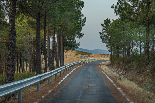 A winding road flanked by terracotta slopes with xerophytic vegetation, where cacti and scrub cling to the rocky slopes under clear skies. - Powered by Adobe