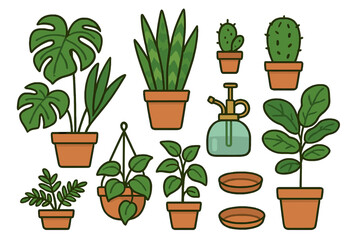 Collection of popular indoor houseplants and gardening accessories in terracotta pots