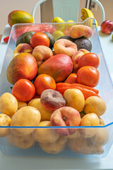 Photograph of fresh food stored in a refrigerator drawer using  showing tomatoes, potatoes, red peppers, and nectarines at their perfect ripeness