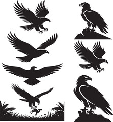 Obraz premium Eagle falcon bird hunting silhouette