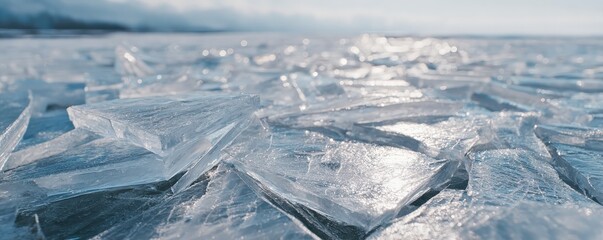 A close-up view of shimmering ice shards glistening under natural light, showcasing their intricate textures and reflective surfaces.