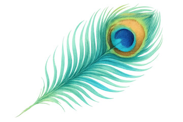 Obraz premium Peacock feather watercolor painting featuring eye spot in iridescent blue and green colors on transparent background