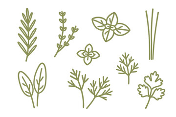 Minimalist collection of fresh culinary herbs and aromatic spices in a simple line art