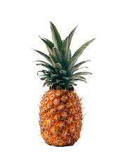 Fototapeta premium pineapple isolated on white
