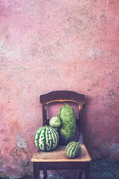 r&eacute;colte du jour , courges dans le sud de la France  , terroir 