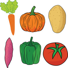 vegetables Vintage hand drawn garden vegetable collection Carrots vector set illustration	