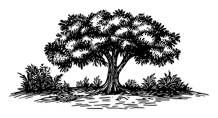 large old oak tree hand drawn sketch vector