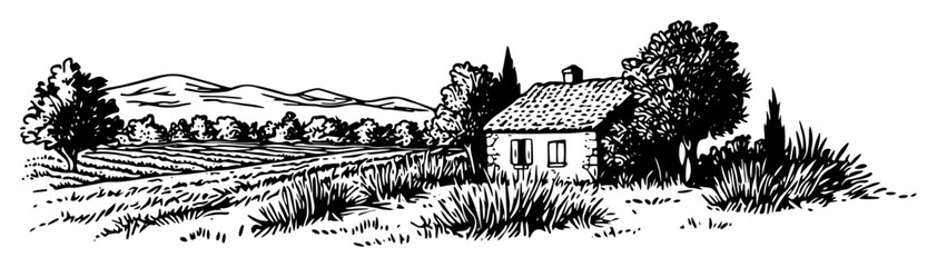provence rural landscape with old house and fields sketch