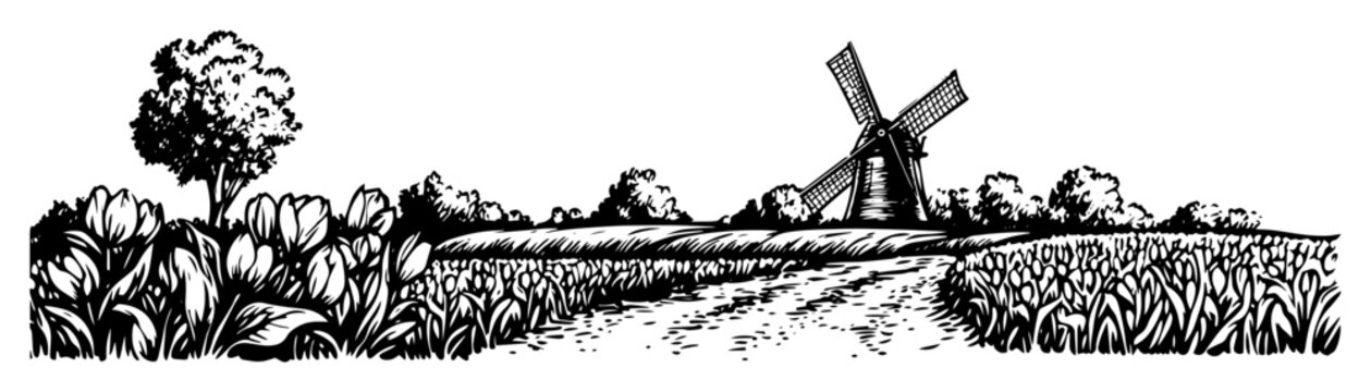 dutch landscape with windmill and tulip field sketch