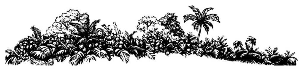 tropical jungle foliage shrub border illustration