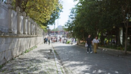 Cobblestone street beside a carved stone wall and shaded trees in soft bokeh defocused view; background copyspace overlay calm.
