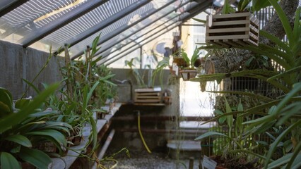 Greenhouse aisle of potted plants and hanging crates with soft blurred depth and defocused...