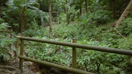 Defocused wooden railing in front of lush green plants and a mossy trail inside a shallow garden; backplate, copyspace, overlay, calm.