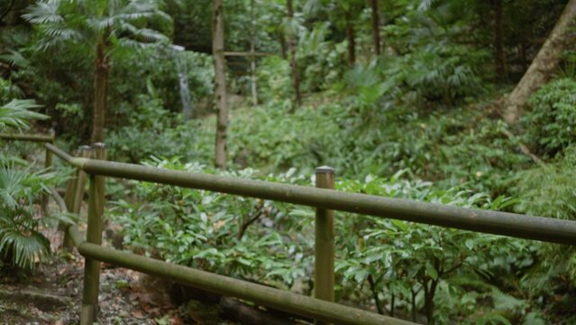 Defocused wooden railing in front of lush green plants and a mossy trail inside a shallow garden; backplate, copyspace, overlay, calm.