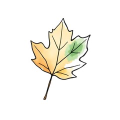 maple leaf watercolor illustration