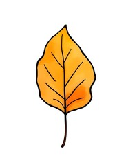 autumn leaf watercolor illustration