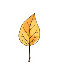 autumn leaf watercolor illustration