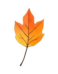 yellow autumn leaf watercolor illustration