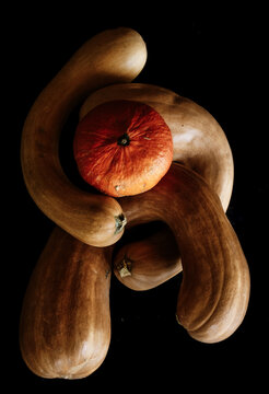 famille de courges de Nice et potimarron rouge , portrait graphique de nourriture , simplicit&eacute; de lecture  des l&eacute;gumes , visuel  cr&eacute;atif , 