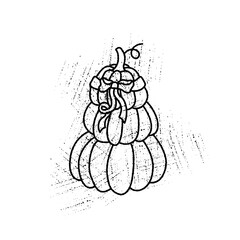 Hand drawn pumpkin decorated with ribbon bow in vintage style. Rustic autumn and Halloween vector illustration for design, cards, prints, and seasonal decoration.