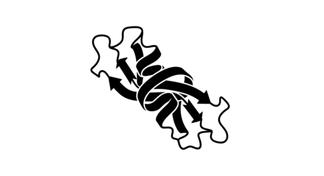 Black and white ribbon diagram of a protein structure.