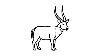Elegant Waterbuck Illustration A Detailed Line Art Depiction.
