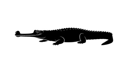 Silhouette of a Gharial Crocodile on White Background.