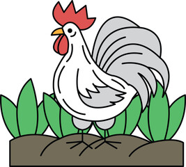 A rooster is standing in a field of grass