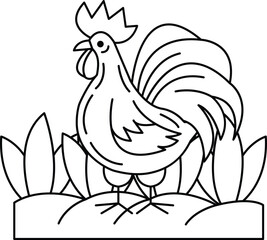 A rooster is standing in a field of grass