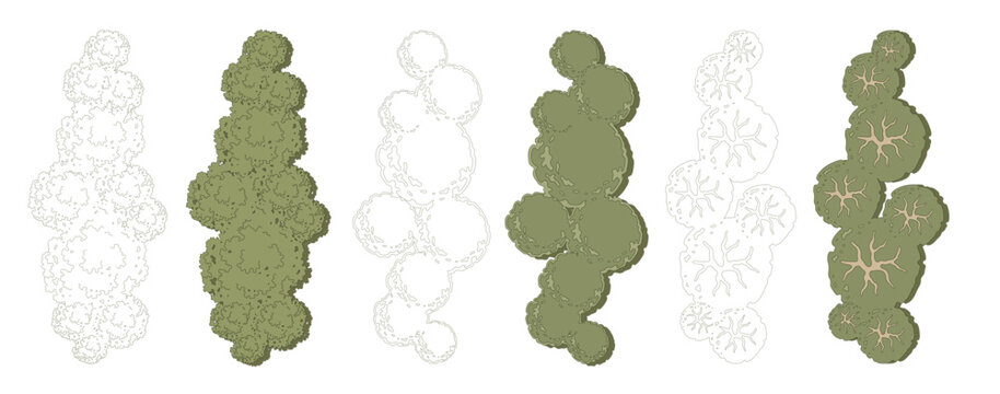 Trees for urban planning and architectural plans. Outline vector for landscape design and exterior entourage.