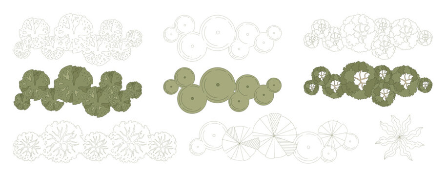 Group of Trees for architectural entourage and urban planning. Various trees, bushes, and shrubs, top view for the landscape design plans. Vector illustration.