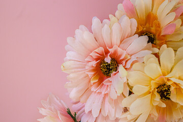 Close-up of bright orange and pink Gerbera daisy bouquet on a soft pastel background. Symbolizes joy, love, and sunshine. Ample copy space for Valentine's Day, romance, or friendship cards and banners