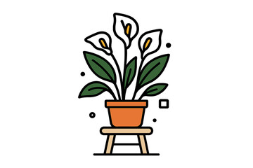 Potted Calla Lily houseplant with green leaves and white flowers on a wooden stool