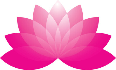 Fototapeta premium Pink Lotus Blossom Graphic Design